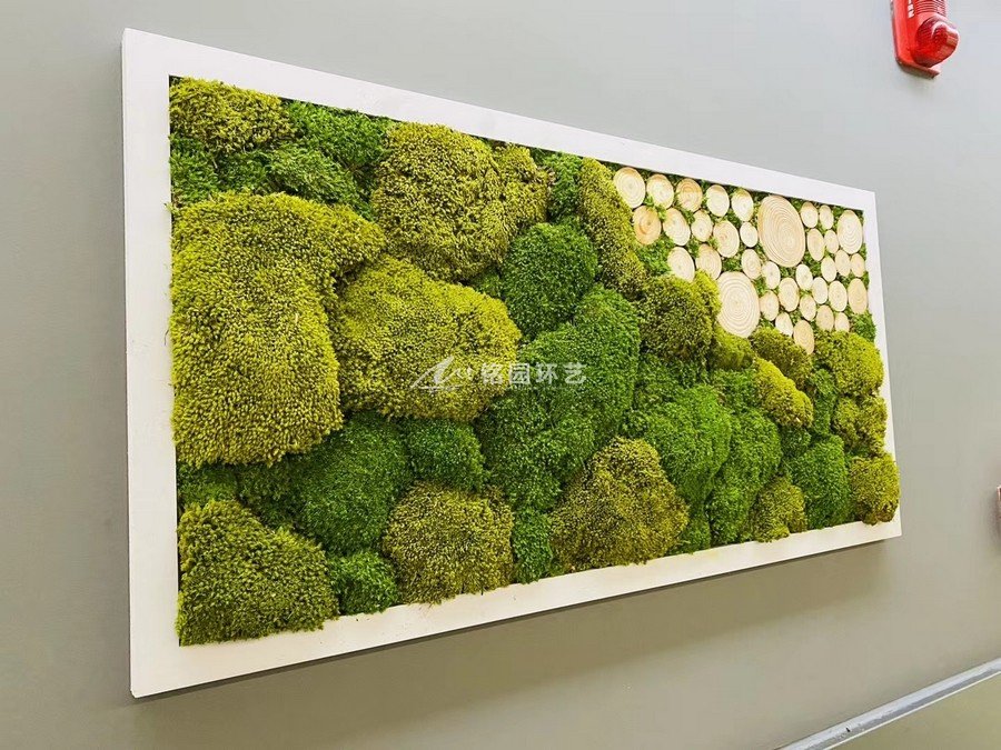室内永生苔藓植物墙，清新视觉，创立有灵魂的景观