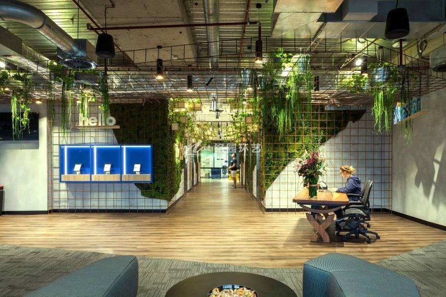 科技公司办公室植物墙，苔藓打造的现代工业风