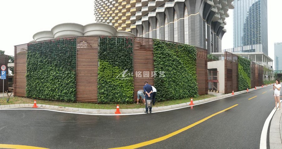 横琴商业中心，室外外墙围挡植物墙笔直立体绿化