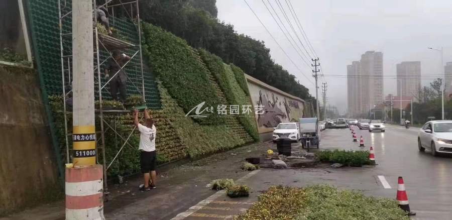 护坡植物墙