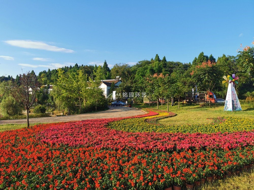 乡村公园景观