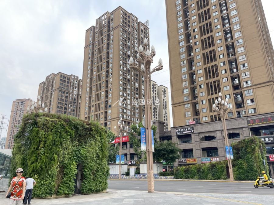 广场植物墙，重庆盘龙中央广场小型建筑笔直绿化景观